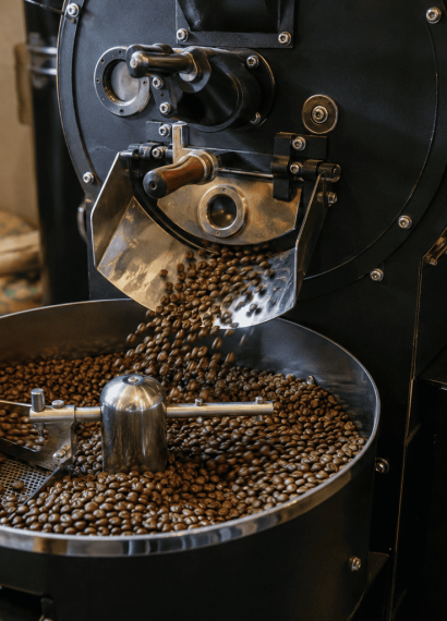 cara menggiling kopi untuk usaha
