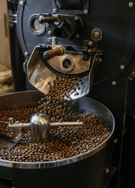 cara menggiling kopi untuk usaha