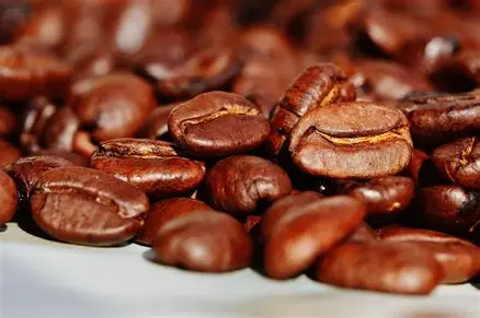 proses penyajian kopi menggunakan mesin pembuat kopi