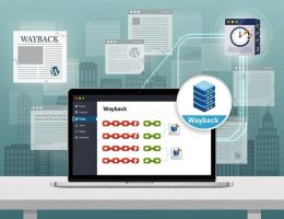 Cara Cek History Domain PBN di Wayback Machine