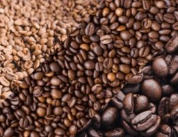 kopi