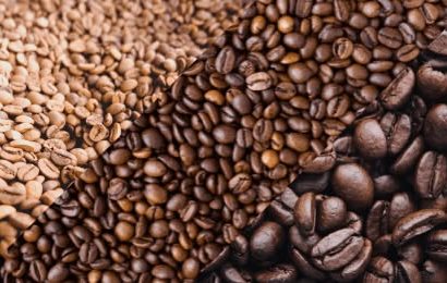 kopi