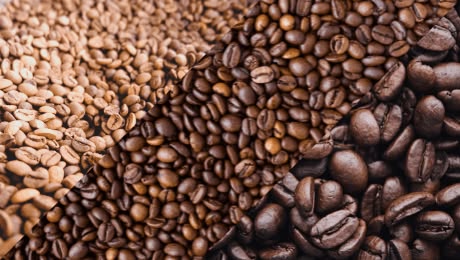 kopi