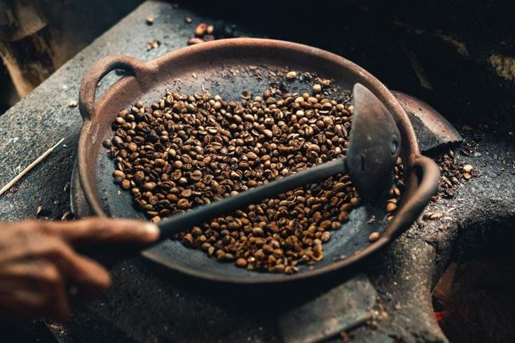 cara mengenali tingkat sangrai biji kopi