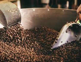 Tahapan Pengolahan Biji Kopi