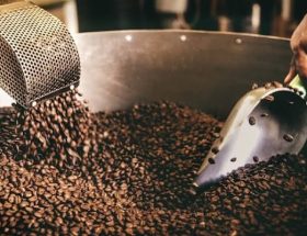 Tahapan Pengolahan Biji Kopi