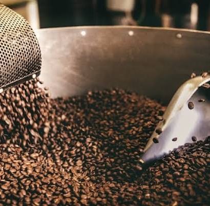Tahapan Pengolahan Biji Kopi