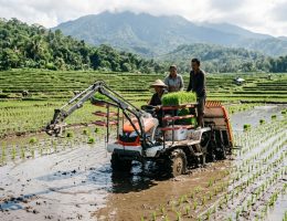 pengaruh kondisi tanah terhadap penanaman