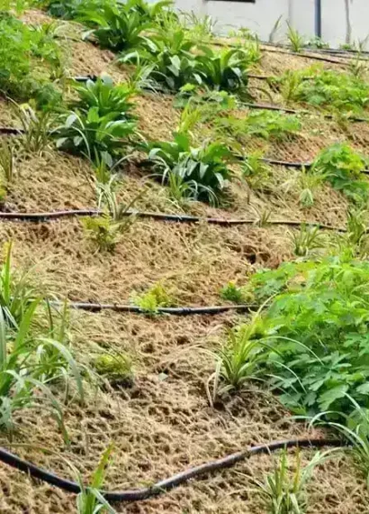 material pengendali erosi berbasis serat tumbuhan