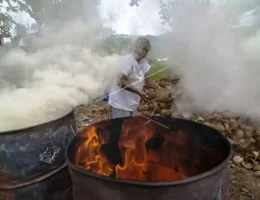 Proses pembentukan arang dari biomassa