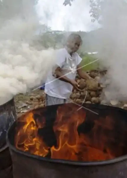 Proses pembentukan arang dari biomassa