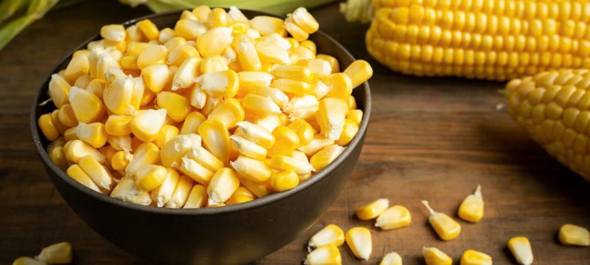 bagaimana menjaga kebersihan hasil pipilan