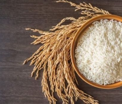 cara meningkatkan kualitas beras hasil panen