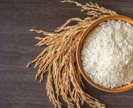 cara meningkatkan kualitas beras hasil panen