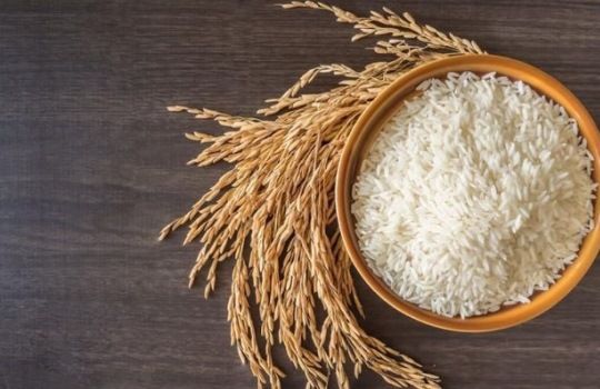 cara meningkatkan kualitas beras hasil panen