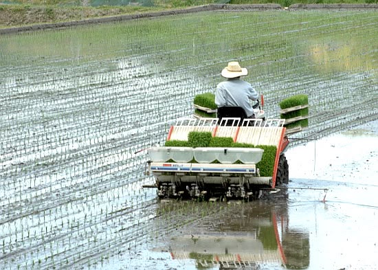 perhitungan biaya operasional alat tanam untuk satu hektare