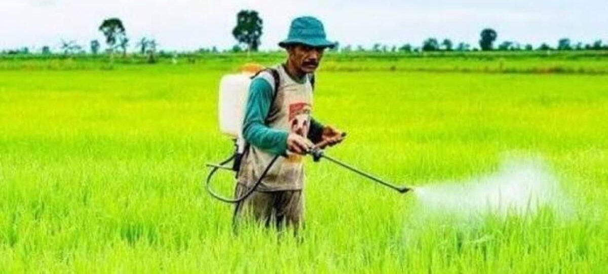 waktu terbaik menyemprot pestisida
