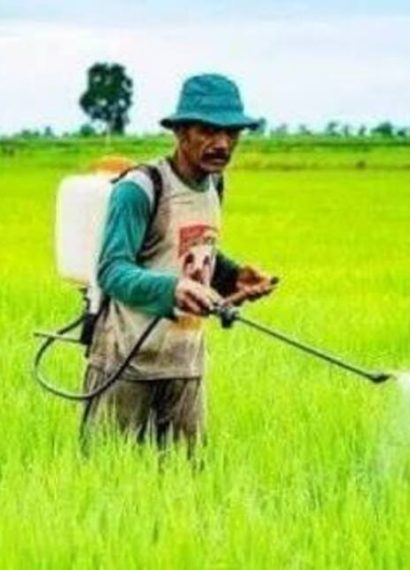 waktu terbaik menyemprot pestisida