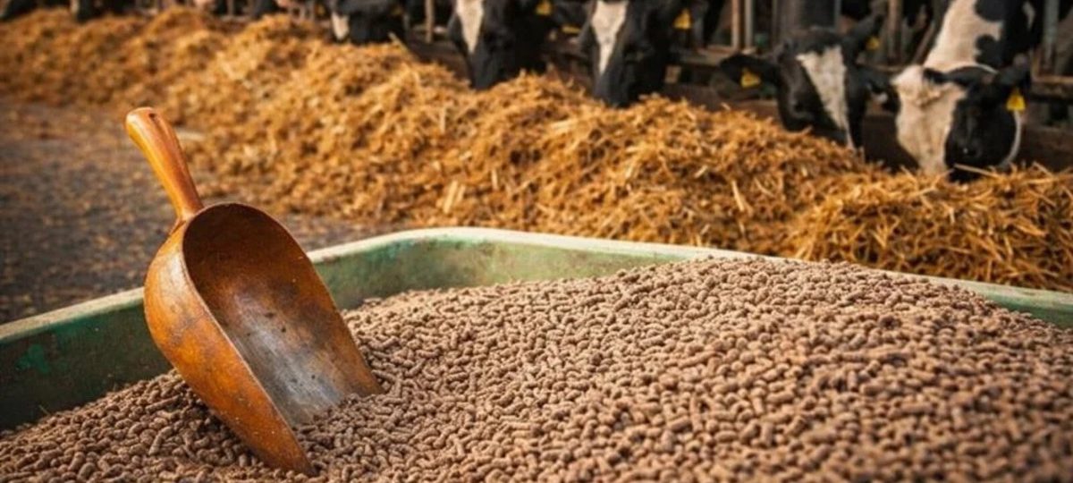 bahan baku lokal untuk produksi pelet