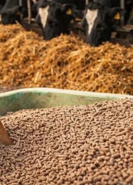 bahan baku lokal untuk produksi pelet